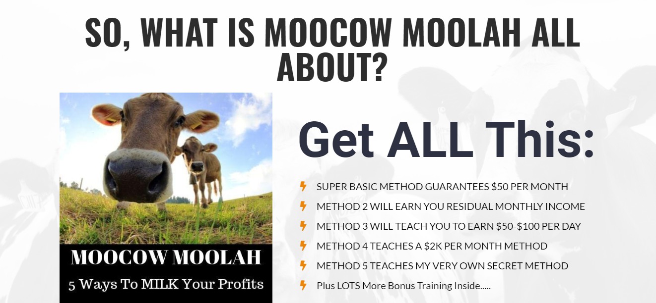 moocow moolah image 2