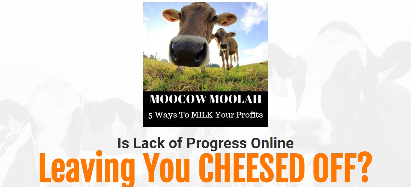 moocow moolah image 1